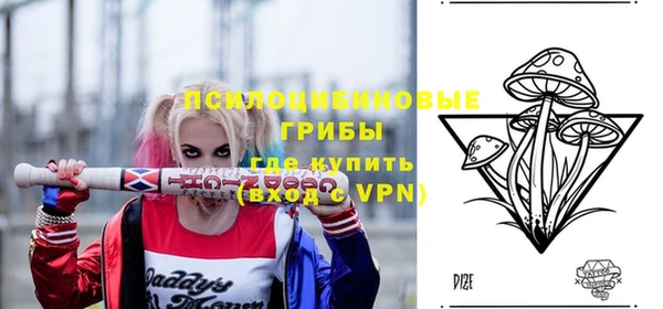 mdpv Верея