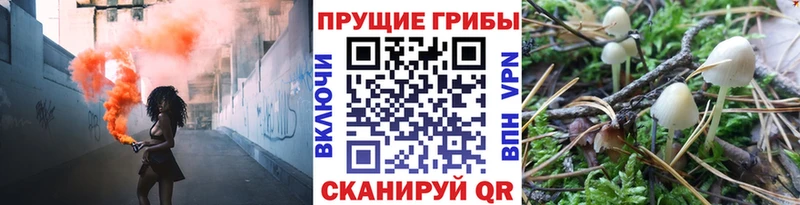 купить наркотик  кракен ONION  Псилоцибиновые грибы мухоморы  Новосокольники 