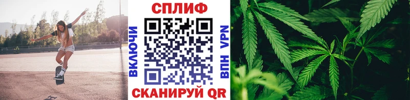Бошки марихуана марихуана  mega онион  Новосокольники  как найти  
